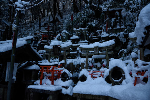 小さな鳥居の集まり