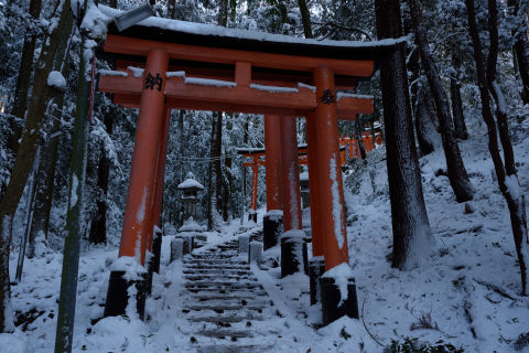 千本鳥居と雪景色を両方撮るのは難しい