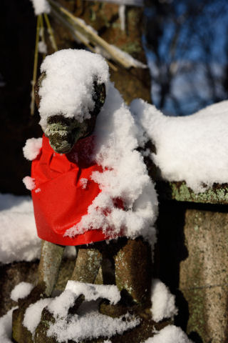 狛狐アップ2枚目