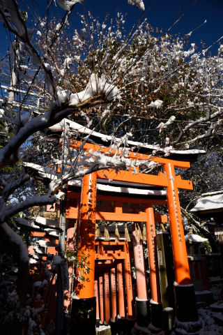 日の光はすべてを映えさせる