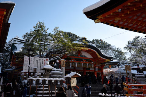 順光のため裏側から