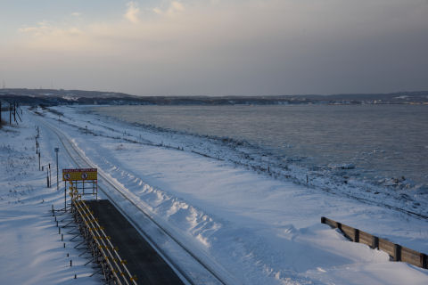海面がシャリシャリ