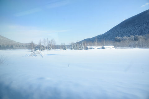 ビニールハウスが埋もれてる