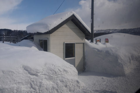 ハンパなく埋まってるバス停