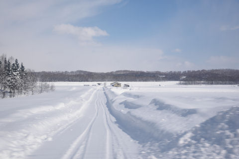 延々と直線で続く道路