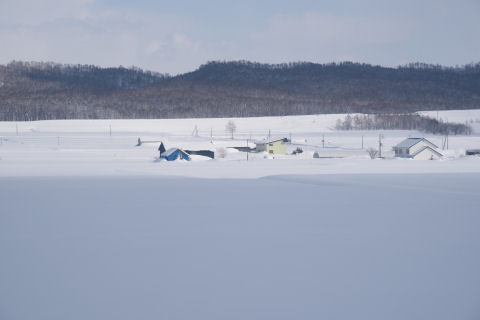 雪に埋まっている家