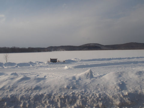 ピーンときたのさ