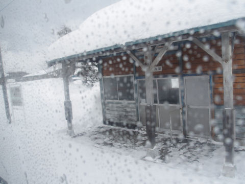 いい感じにこじんまり