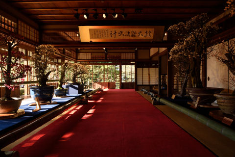 去年は人いっぱいだった