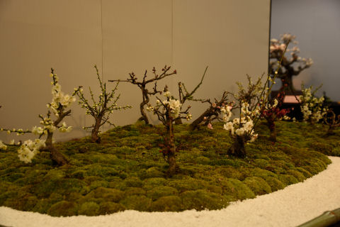 ジオラマみたい