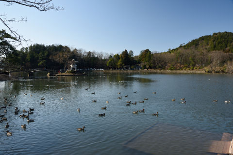 思ったよりいた