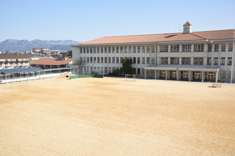 目の前にあったのね