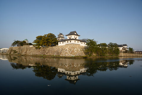 ちょっとだけ見える天守