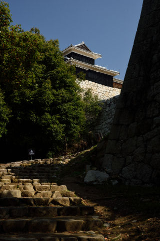 ようやく見えて来たか