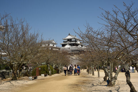 もうちょっと後か