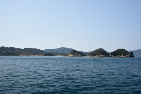 住んではいないが遊びに来ていそう