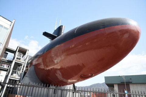 確かにくじらみたい