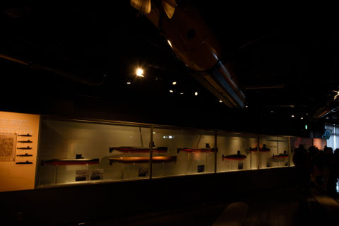 泳いでいるみたい