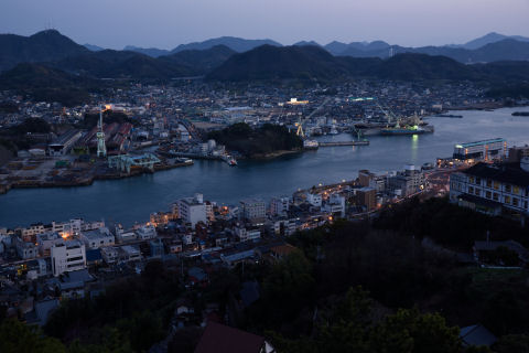 それでもまあまあよく撮れてるか