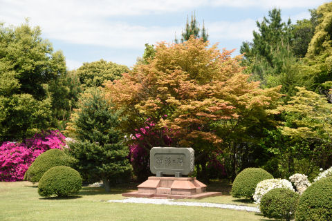 碑の後ろがきれい