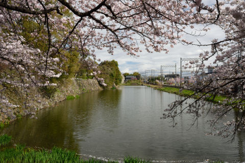 線路があって近づけない