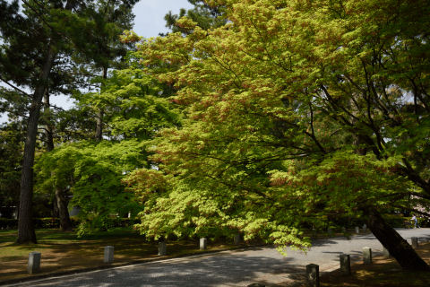 ちょっと赤いけどそれは後程