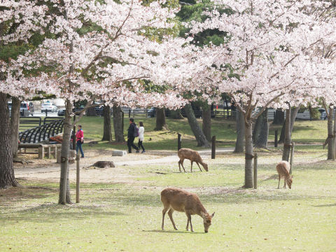 引き気味にして公園の様子を