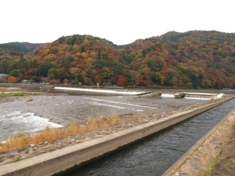 いつもながらまだら色