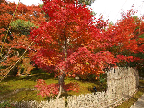 この日一番晴れた時間