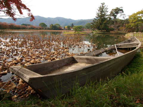 舟と池