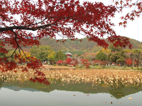 対岸から宝塔を