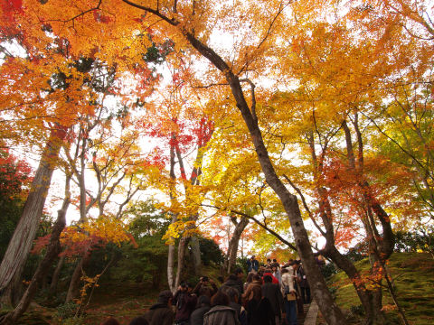 天気が良ければ最高なのだが