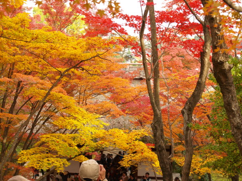 もう人いっぱい