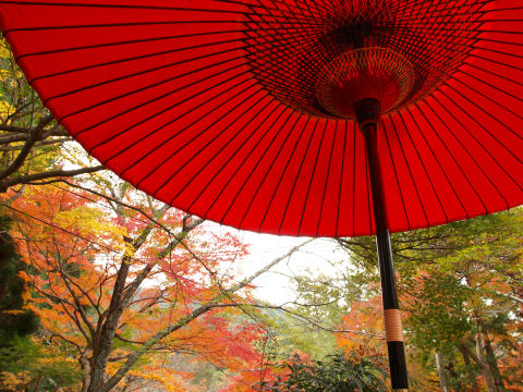 天気が良ければ・・・