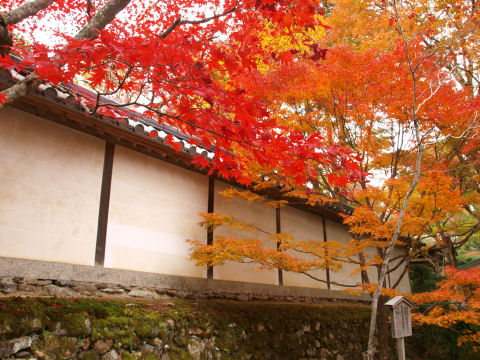 人を写さないようにすると壁ばかりになってしまう