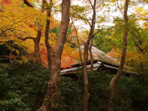 人が写るので全体像は載せず