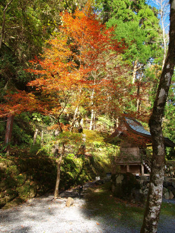 ぽつんとあってもねえ