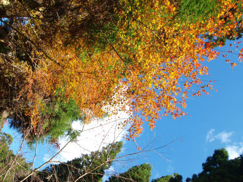 青空が見えても太陽は良く隠れる