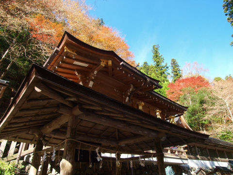 天気は良いのだが