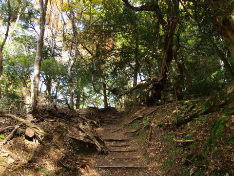 いやーけっこう疲れた