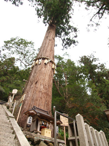 でかくて入りきらない