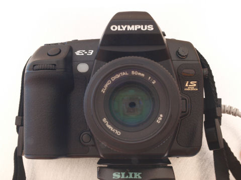 これからよろしく