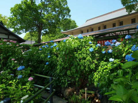 柄杓で水をかける？