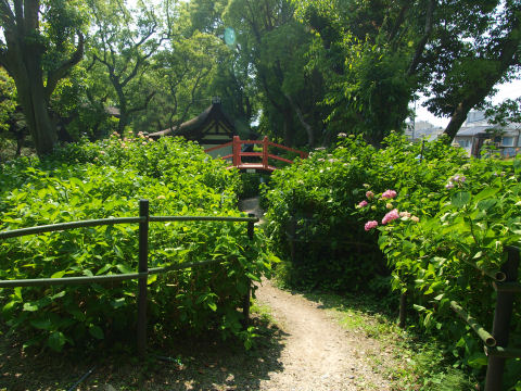 橋の上を通ってからこの道を通る