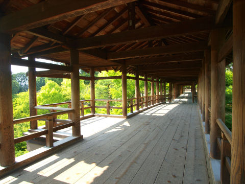 秋には人がぎっしり