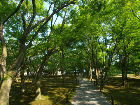 庭園の小道を歩く