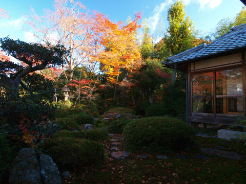 こっちは残っててよかった