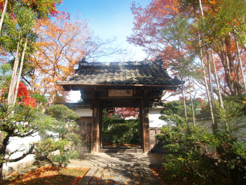 実際は帰るときに撮影