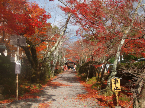 これでもきれいだけど