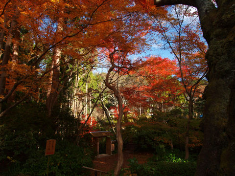 門の向こうに行くも特に何もなかった